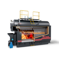 DZL series biomass-fired hot water boiler