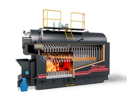 DZL series biomass-fired hot water boiler