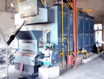 4tph DZL series biomass-fired packaged steam boiler project for photovoltaic industry