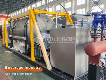 United States ZOZEN ASME 1.5-ton Three-pass Gas Steam Boiler Project