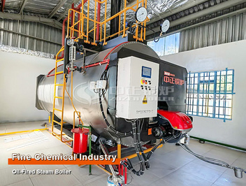 ZOZEN 3 Ton Oil-Fired Steam Boiler in A Fragrance Factory in Botswana