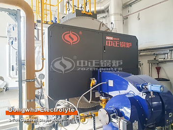 Hungary Electrolyte Plant 3 Tons Gas-fired Steam Boiler Project