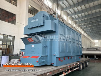 Africa Ivory Coast 4-ton Biomass Steam Boiler Project for Wood Industry