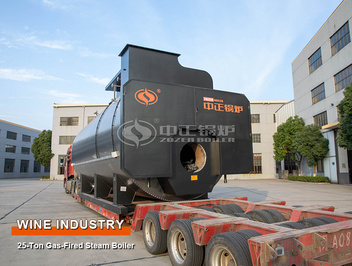 Wine industry 25 tph gas-fired fire tube steam boiler project