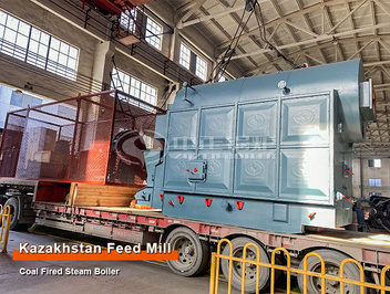 Customized ZOZEN Coal-fired Steam Boiler for a Feed Factory in Kazakhsta