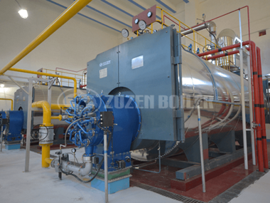 6 tph WNS condensing gas-fired boiler for wine industry