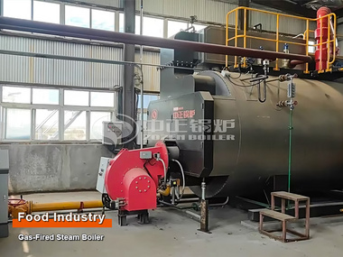 6 Tons/hour Gas-Fired Steam Boiler Project for Food Industry