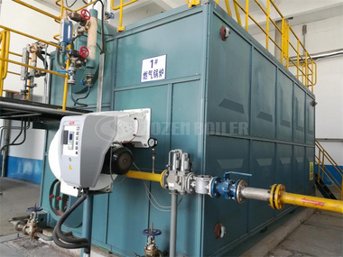 10 tph SZS condensing gas-fired boiler in Jiangsu