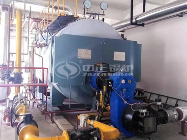 6tph WNS series three-pass condensing gas-fired steam boiler project for pharmaceutical industry