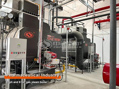 6-Ton and 8-Ton Gas Steam Boilers Project in Pharmaceutical Industry