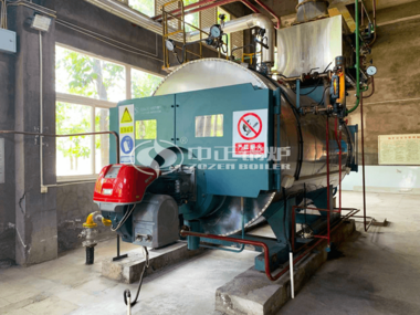 4 tph WNS series gas-fired fire tube boiler project for food industry