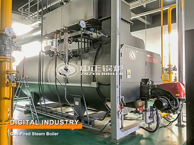 Electronic Industry Gas-Fired Steam Boiler and Hot Water Boiler Project