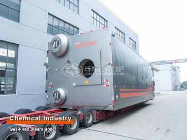  35 tph SZS series condensing superheated steam boiler for CNEG