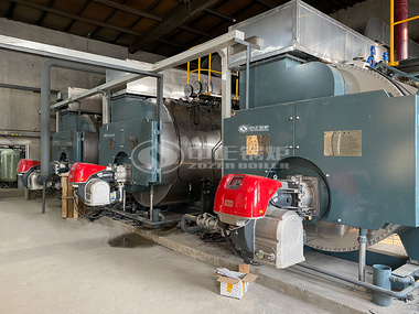  6 tph WNS series two-pass gas-fired steam boiler project for the food industry