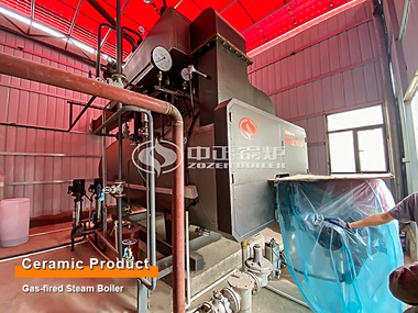 Building Material Industry 4-ton Condensing Gas-fired Steam Boiler Project