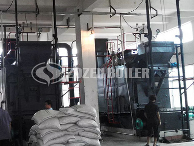 4 tph DZL biomass-fired steam boiler for feed factory