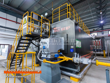 15 T/H Gas-Fired Steam Boilers for Food Processing Project