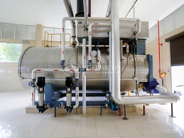 6 tph WNS series condensing gas-fired steam boiler for food industry