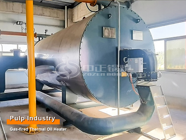 New Material Industry Four Million Kcal Thermal Oil Heater Project