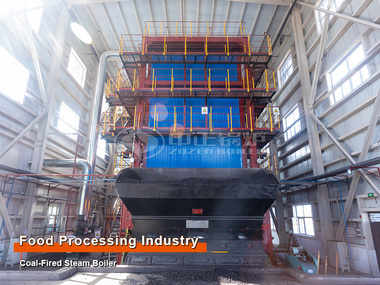 50 Tph Coal Fired Water Tube Steam Boiler For Tomato Processing Industry