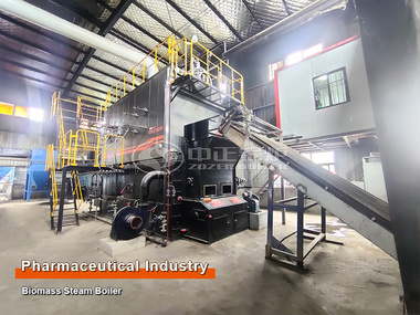 3.5 Tons Biomass Steam Boiler for Medicine Company