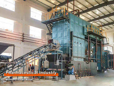 ZOZEN 15 Tons Horizontal Biomass Steam Boiler for Pharmaceutical industry