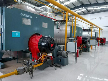 10 tph WNS condensing gas-fired boiler for beverage factory