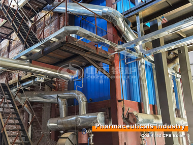 Biomedical Industry 25-ton Coal-fired Circulating Fluidized Bed Boiler Project