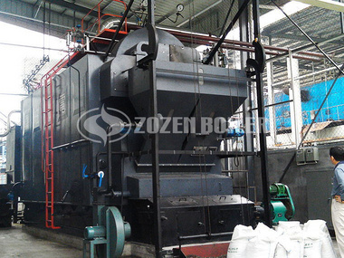 4 tph DZL biomass-fired steam boiler for pharmaceutical industry