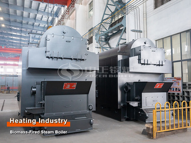 10 tph DZL biomass-fired boiler for heating 