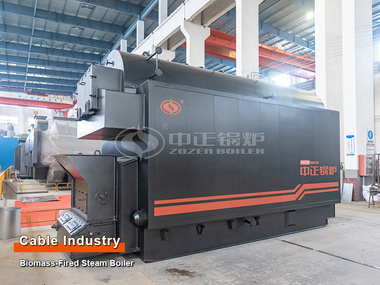 4 tph DZL biomass-fired steam boiler for photovoltaic factory