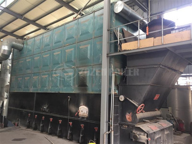 10 tph SZW biomass-fired steam boiler for pharmaceutical factory