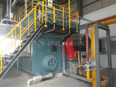 20 tph SZS gas-fired steam boiler for cigarette factory