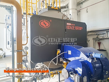 Hungary Electrolyte Plant 3 Tons Gas-fired Steam Boiler Project