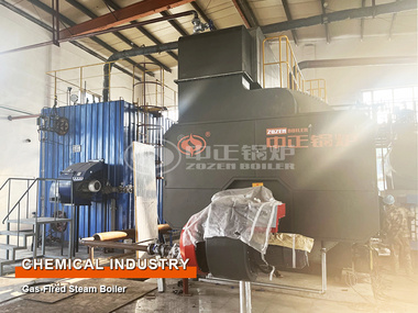 Chemical Industry 15-ton Gas-fired Steam Boiler Project