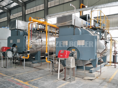 6 tph WNS condensing gas-fired steam boiler to Inner Mongolia