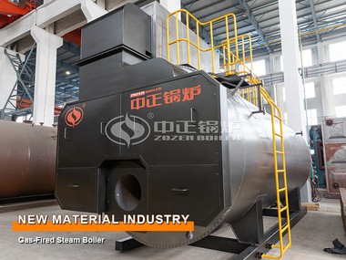 Chemical Industry 8-Ton Gas-fired Steam Boiler Project