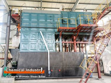 15 Ton Biomass Steam Boiler for Chemical Enterprise Project