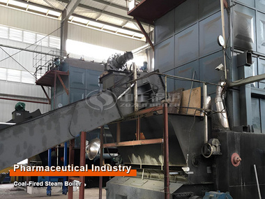 15 tph of coal-fired steam boiler for pharmaceutical factory