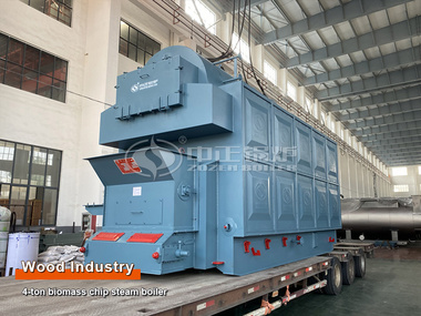 Africa Ivory Coast 4-ton Biomass Steam Boiler Project for Wood Industry