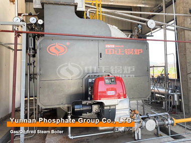 Chemical Industry 4-ton Natural Gas Fired Steam Boiler Project