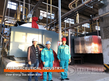 Pharmaceutical Industry 35 tph and 8 tph Gas-fired Steam Boilers Project