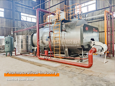 Pharmaceutical Industry 10-ton and 6-ton Gas-fired Steam Boilers Project