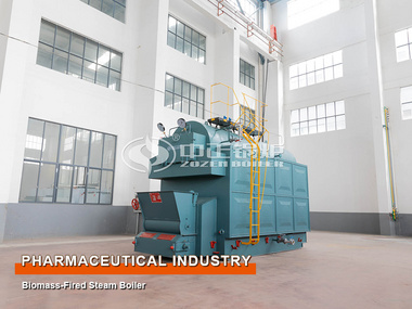 Pharmaceuticals Industry 4-Ton Biomass Steam Boiler Project