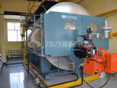 10 tph WNS condensing gas-fired boiler rubber plant