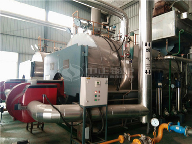 6tph WNS series three-pass gas-fired steam boiler project for the feed industry