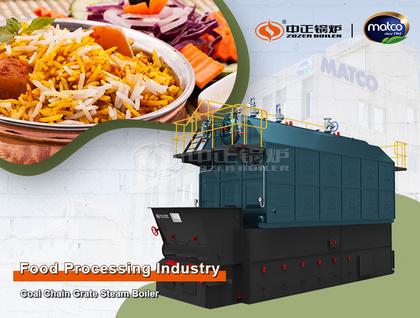 Export to Pakistan: 15 TPH Coal Chain Grate Steam Boiler for Food Processing Industry