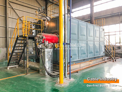 6-Ton Condensing Gas-fired Steam Boiler Project For Cable Industry