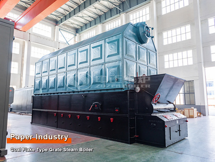 Export to Indonesia: 10T Flake Type Grate Steam Boiler for Corrugated Paper Factory