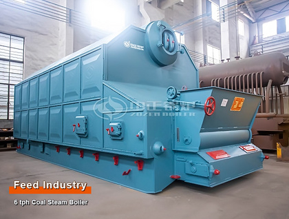 ZOZEN 6-Ton Coal Steam Boiler for Feed Plant in Indonesia